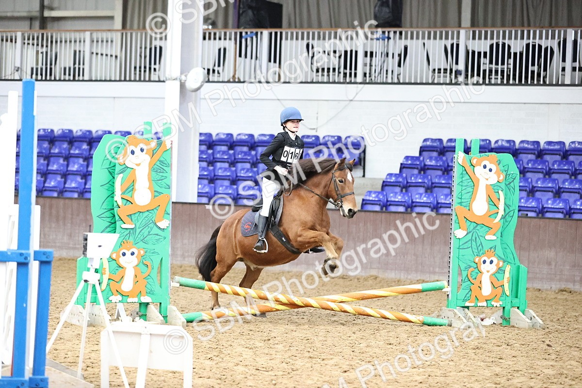 SBM_000148 - Class 2 - The Rug Lady 40cm Area 12 Championship Qualifier