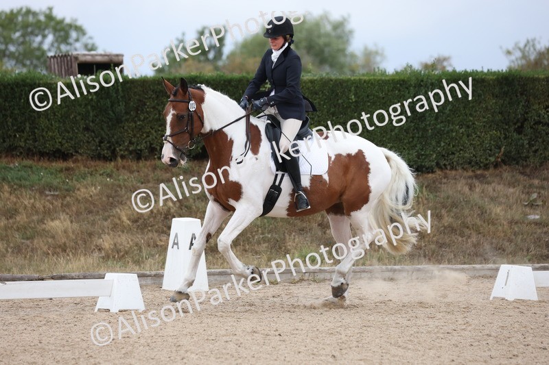 20250820-0166 - Class 9 - My Quest Prelim 3