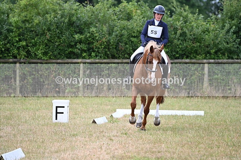 WJ6_0932 - Time 10:28 to 10:40