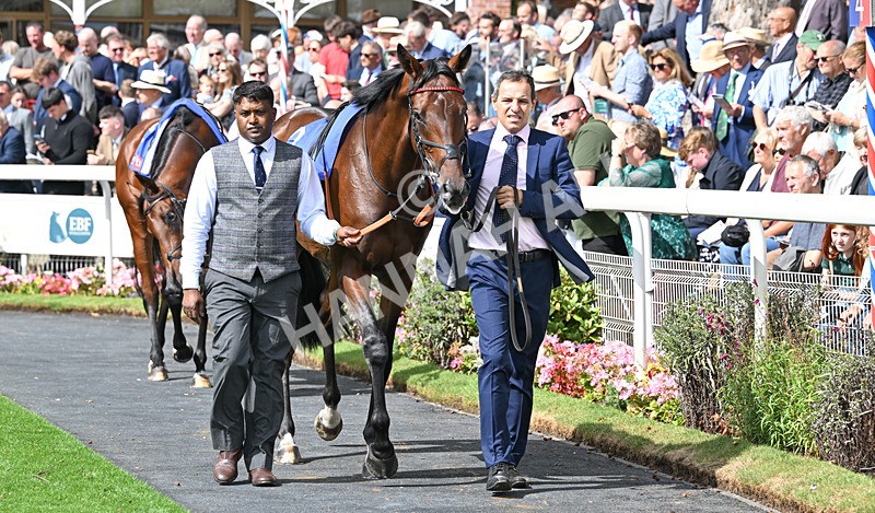190826-071 Maltese Cross - Race 3 15.00pm Sky Bet Great Voltigeur Stakes