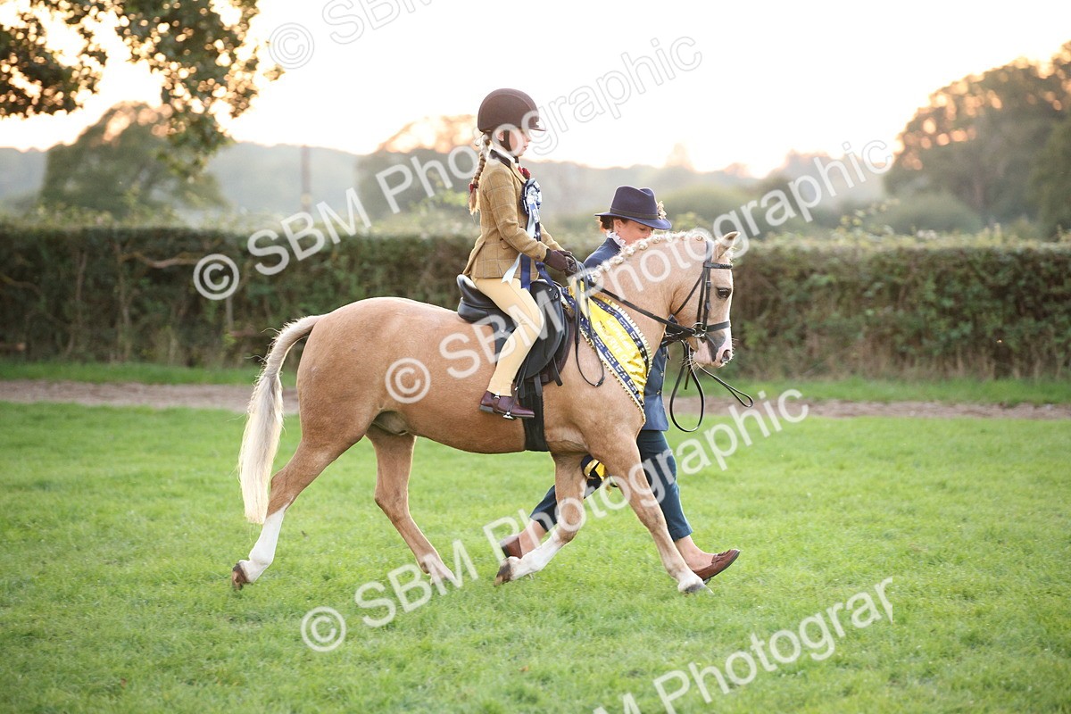 SBM_57126 - Super Supreme Championship