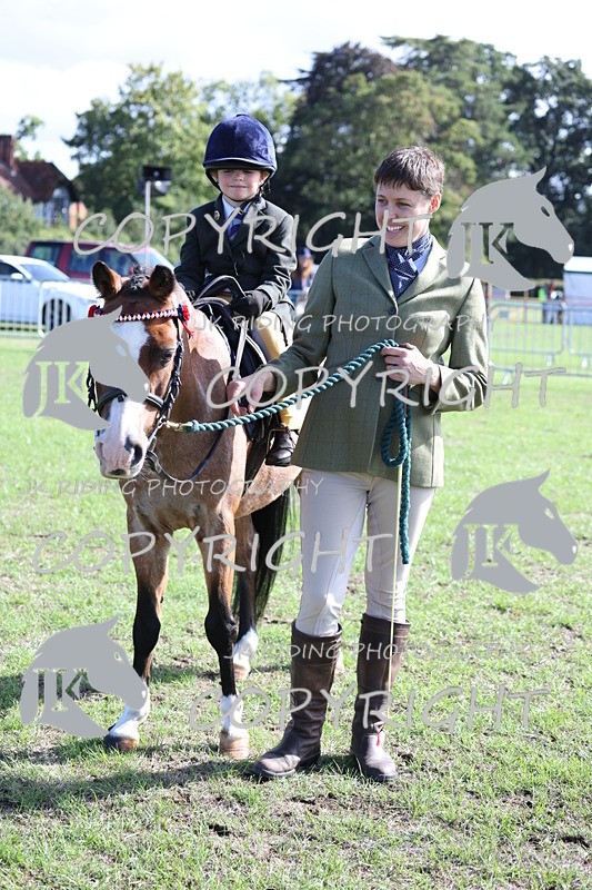 APP_3891 - Class 13 Lead rein