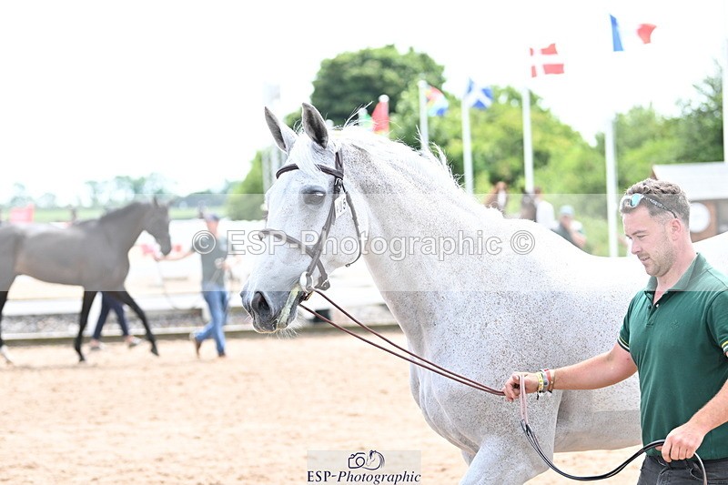 240717A-144119-02201 - Trot Up 2pm to 3pm - This folder is not in time order