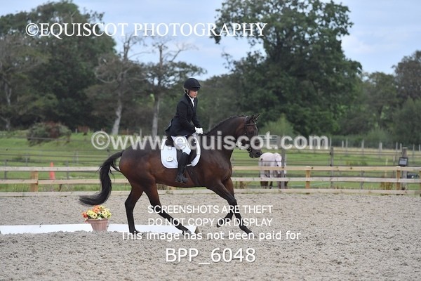 BPP_6048 - NOVICE TEST 4 + 6 LONG ARENA