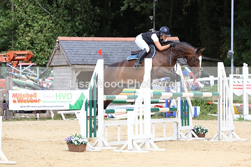 3E7A4423 - Class 8: Senior Foxhunter/1.20 open