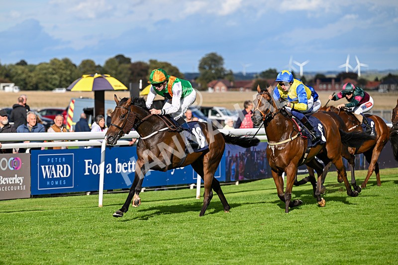 170925-Race 5-Hashtagnotions-5414 - Race 5