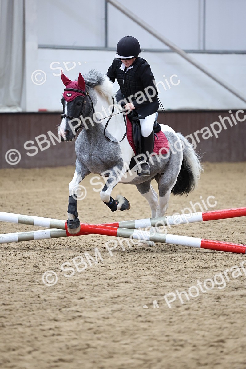 SBM_006987 - Class 1 - 40cm showjumping
