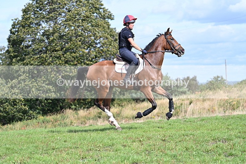 WJ7_2011 - Time 13:17 to 13:53