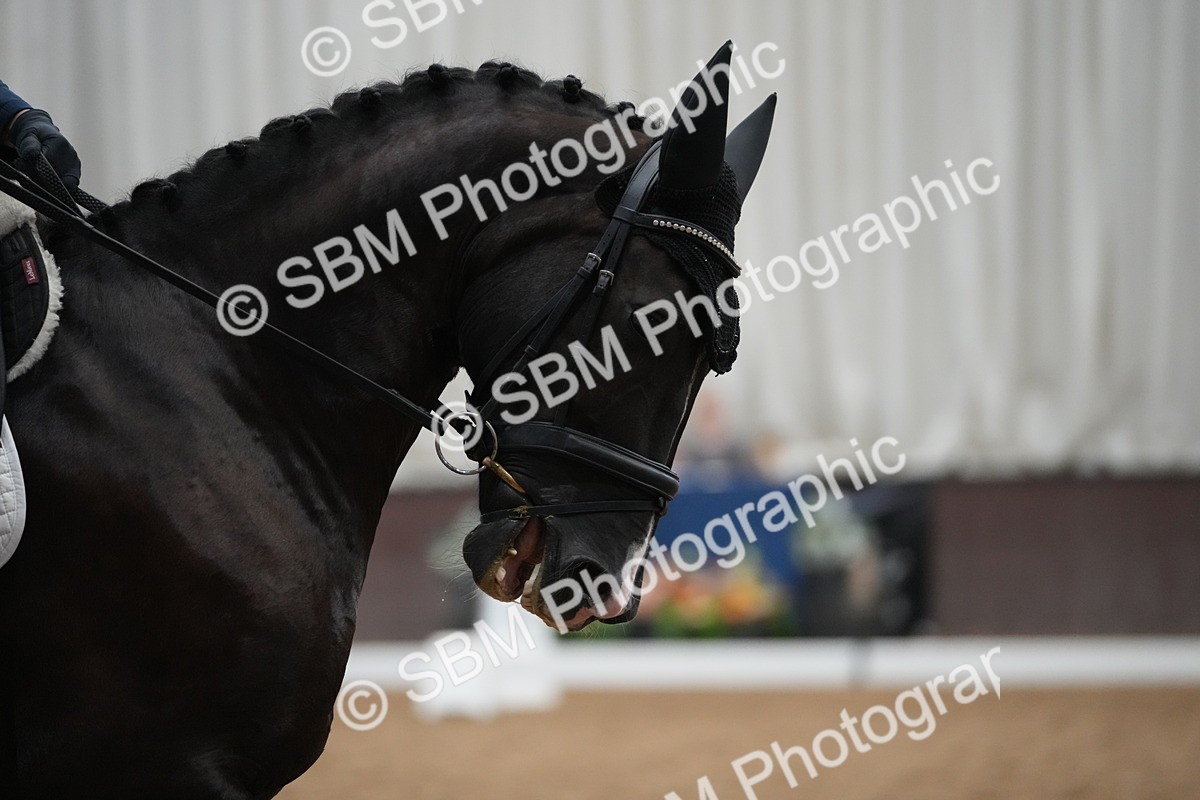 SBM_004496 - Class 11 - Elementary 2 Champs