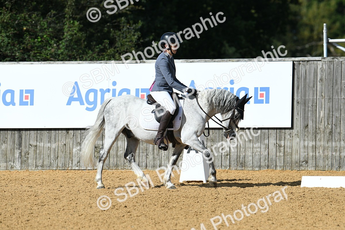 SBM_02878 - D7 Small Tour Championship Prelim 1