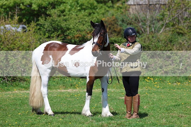 3E7A0340 - Class 19: Best Coloured in Hand