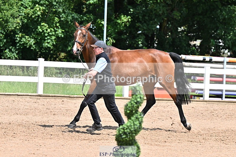240718A-105300-01442 - Trot Up 12pm to 1pm