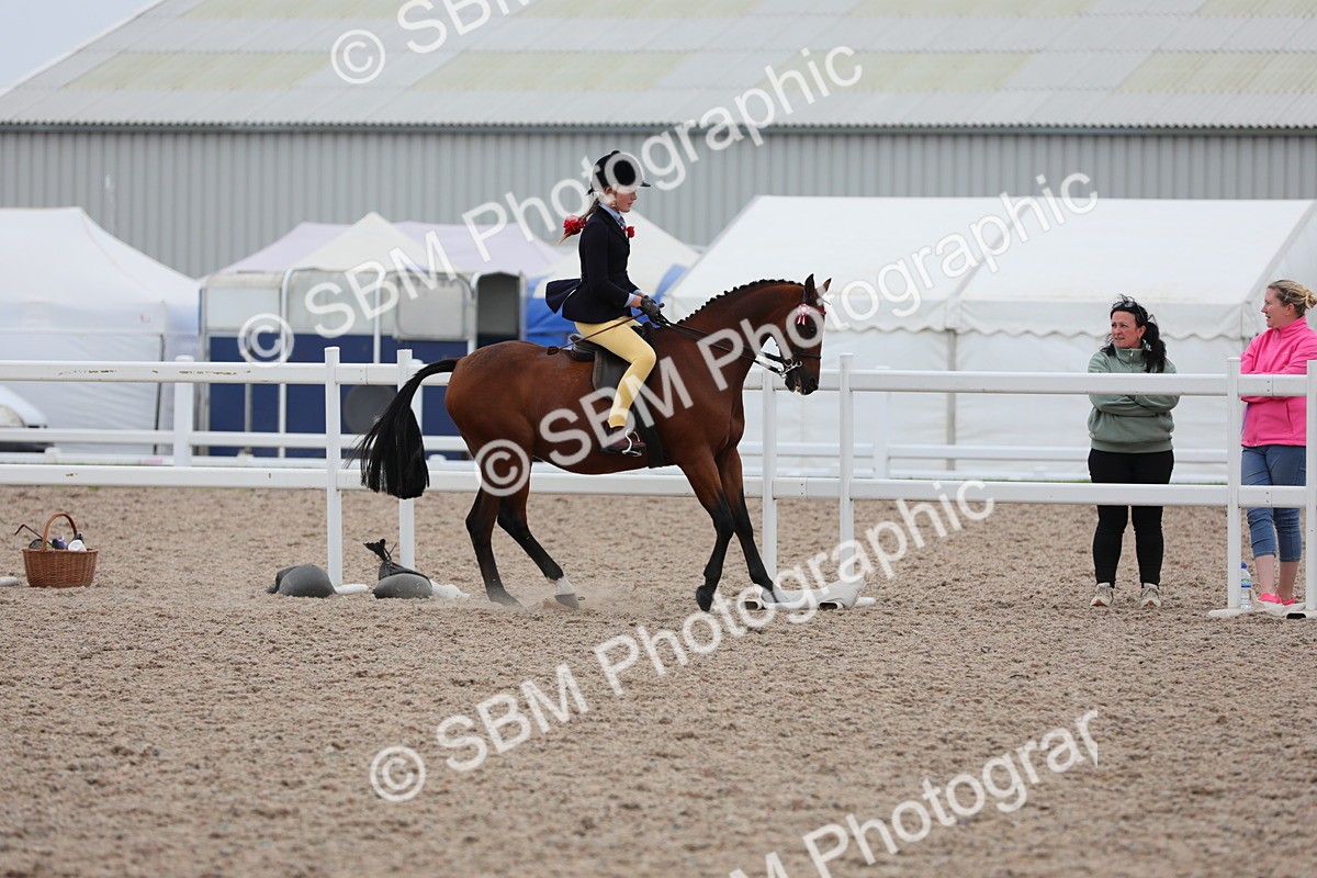 SBM_18098 - Class 316 Best Pony/Rider Combination