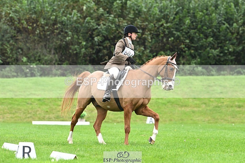 241024-105851-03108 - 502-Alison.Stewart-RICO.III