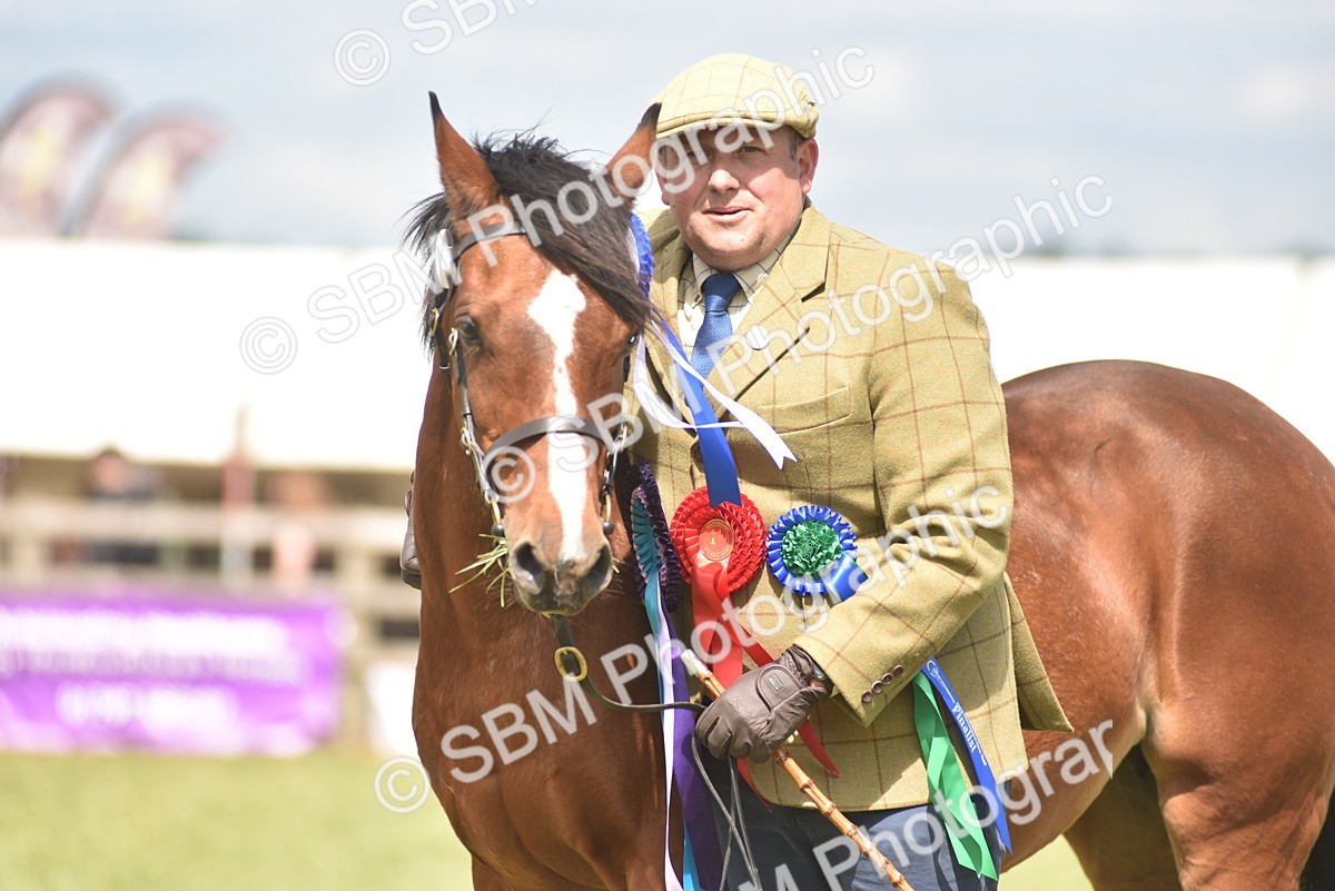 SBM_16136 - Class 117-122 - SSADL RIHS Qualifier