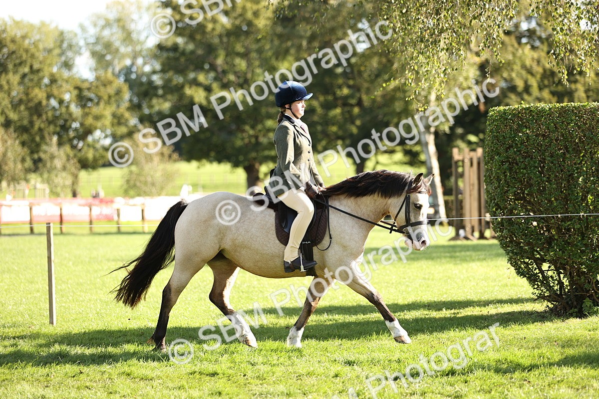 SBM_29337 - S7 - Novice & Newcomers Ridden Pony