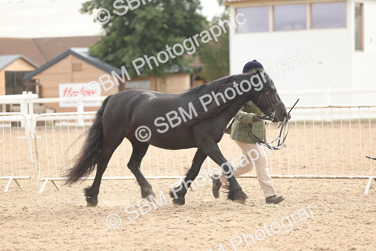 SBM_03162 - Class 16 - IH M&M Wildcard