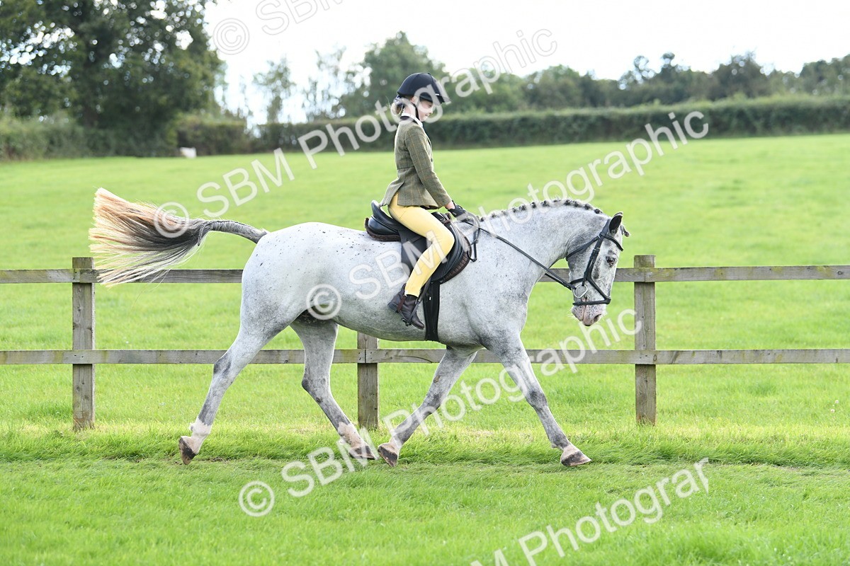 SBM_46725 - S12 - Family Horse & Pony