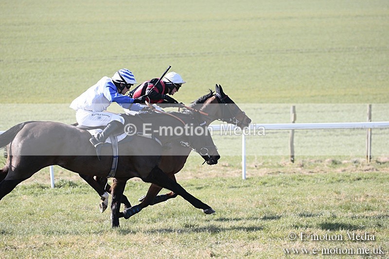 PtP 240218 79 - Vine & Craven Hunt Point-to-Point Barbury racecourse 24/02/18