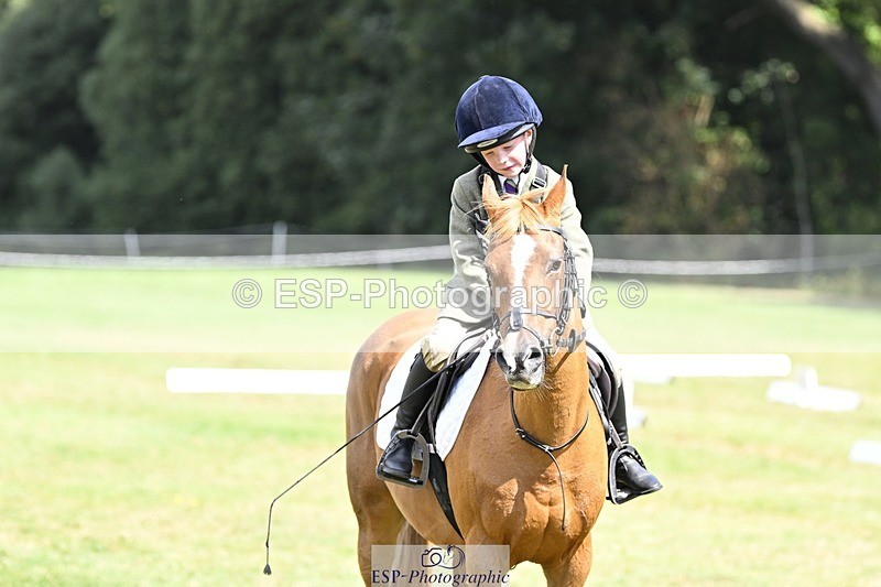 250822A-121519-22660 - DR 11.00 to 12.00