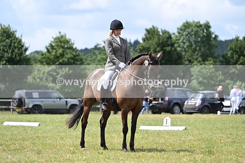 WJ7_4879 - Time 11:22 to 11:51