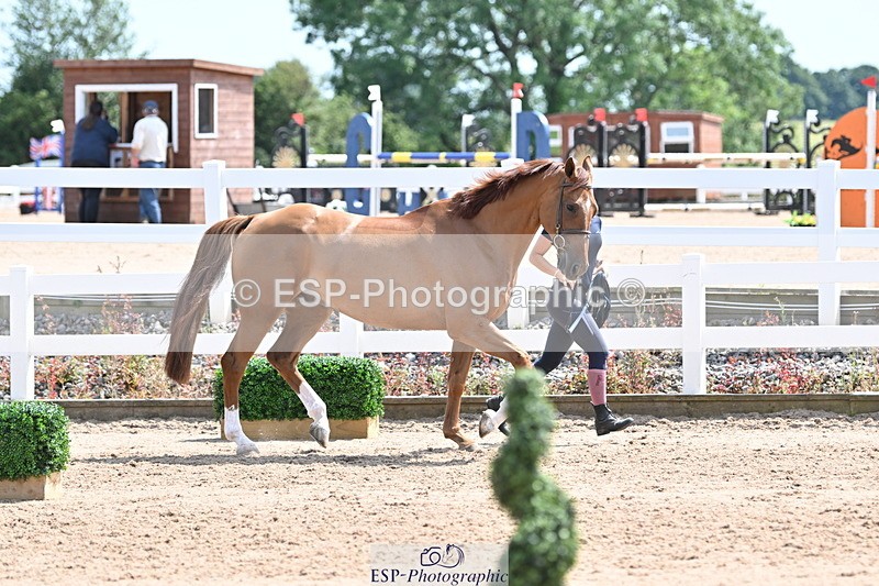 240717A-145955-02416 - Trot Up 2pm to 3pm - This folder is not in time order