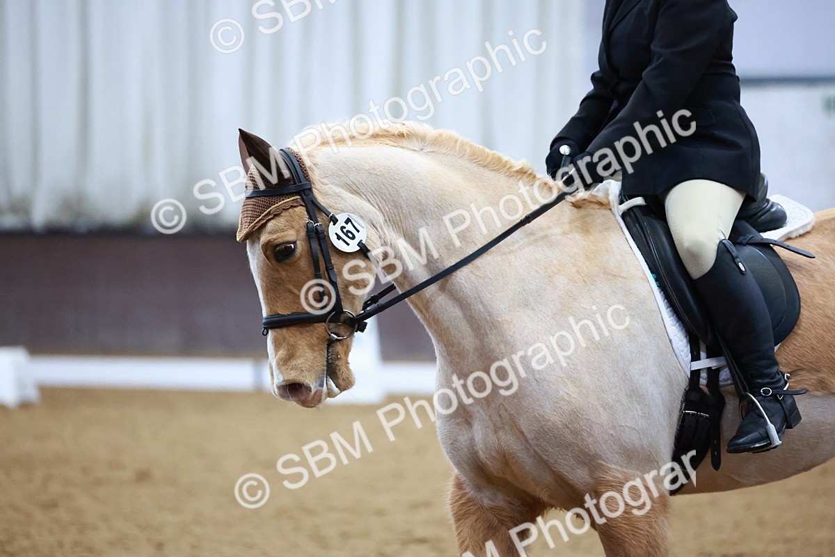 SBM_002770 - Novice Music