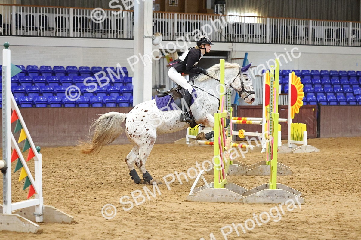 SBM_001894 - Class 5 - Show Jumping 80cm