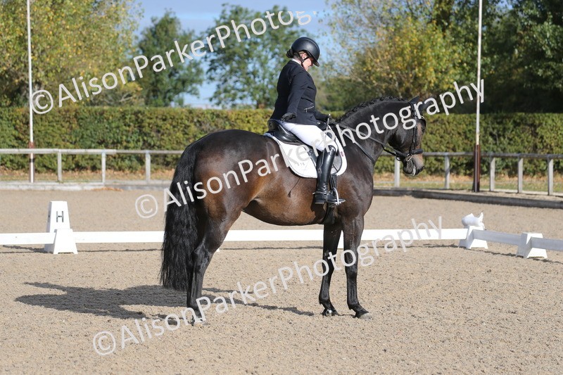 20261011-0285 - Class 4 - Novice 6