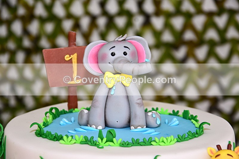 ADN-039 - Aiden's 1st Birthday