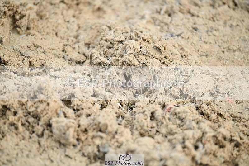 251004A-091147-00087 - Classes 1-2-3 40cm