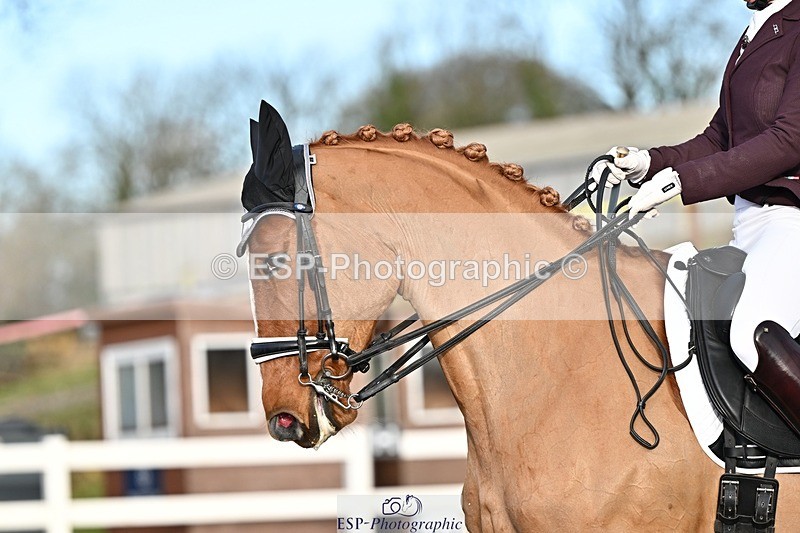 241214-133956-02531 - 112-kelly.jewell-Avalon