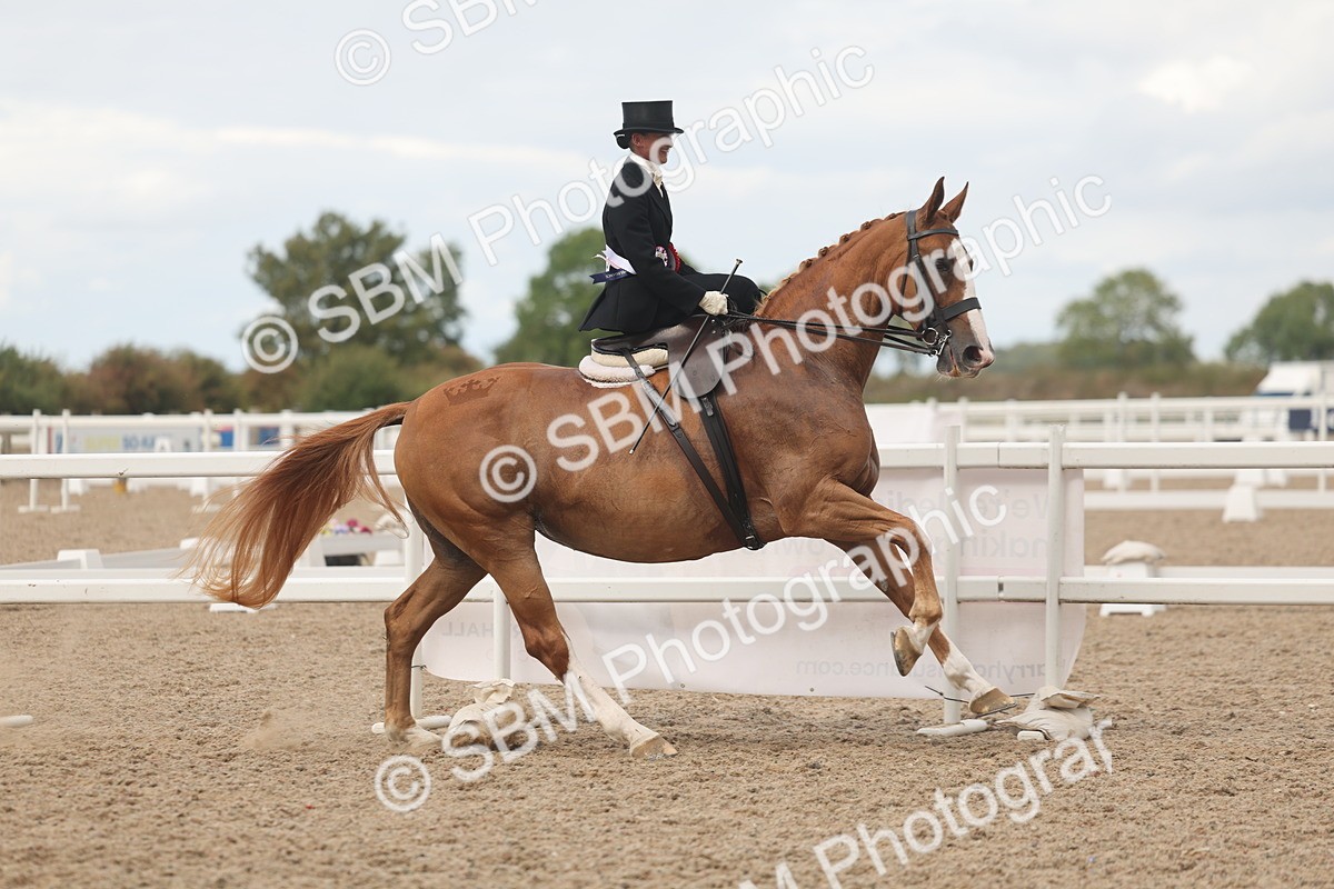 SBM_06335 - Class 24 - SSA Concours d'Elegance