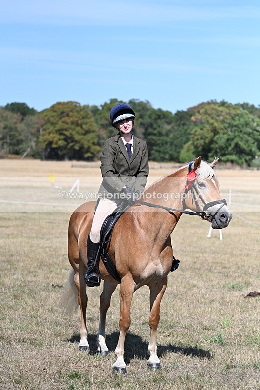 WJ7_1309 - Class 41 Prettiest Mare