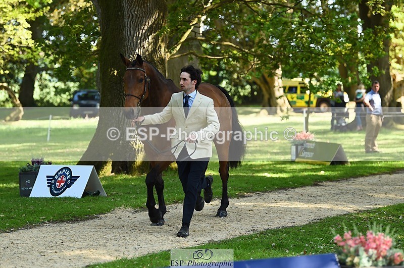 230524-161216-00752 - 255-HI_MR_HENRY-Henry_Hobby-WEDTrotUp+DR