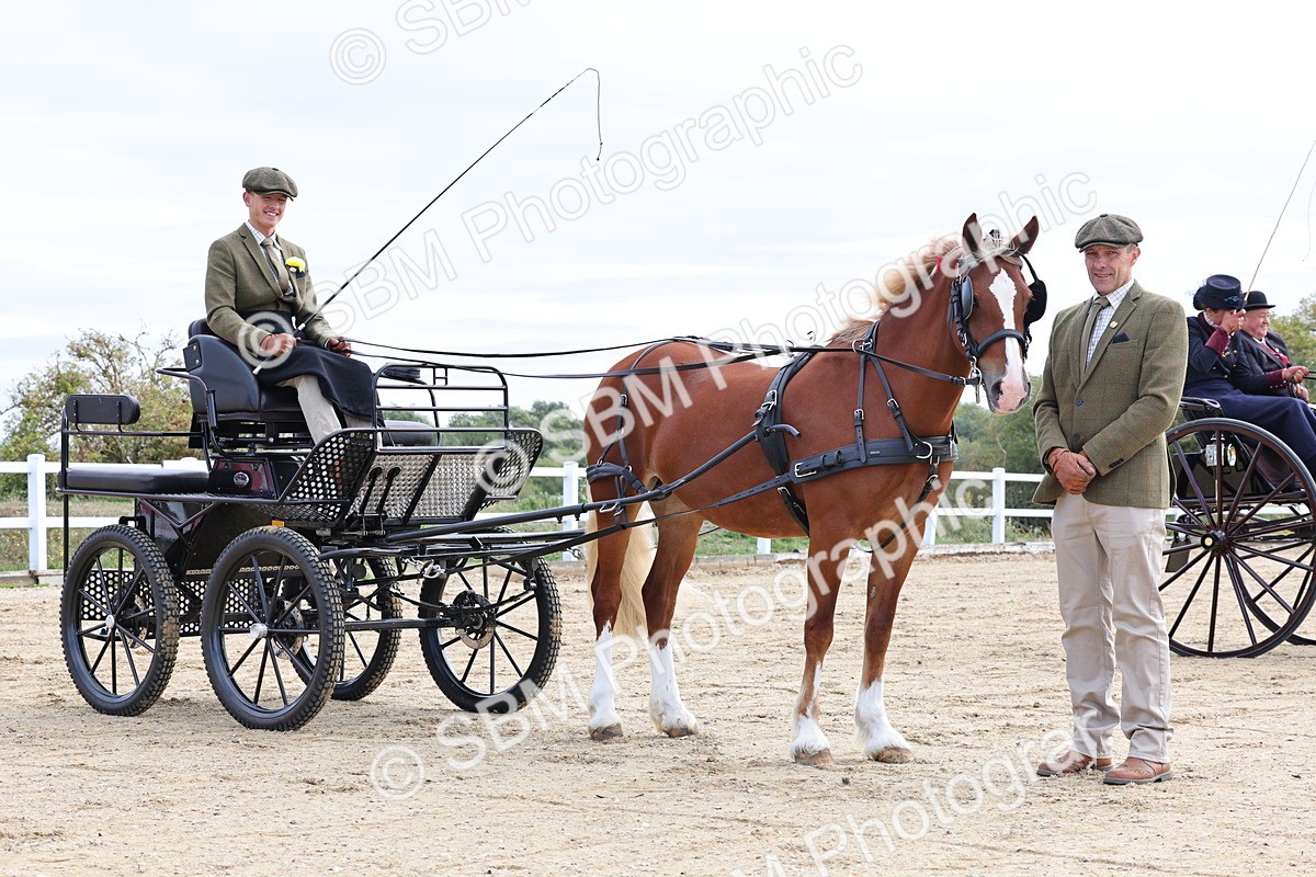 SBM_000463 - Class 4 - Junior Whip