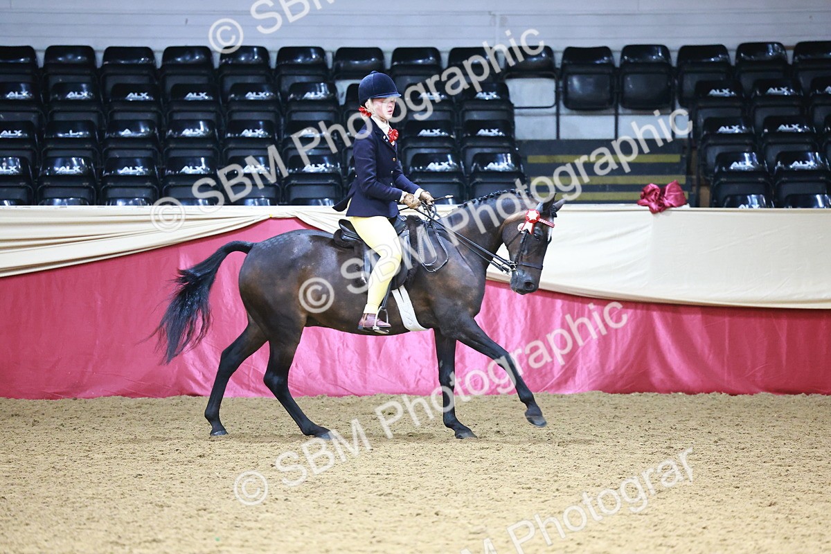 SBM_23342 - Class 904 - Supreme Final - Ridden Diamond