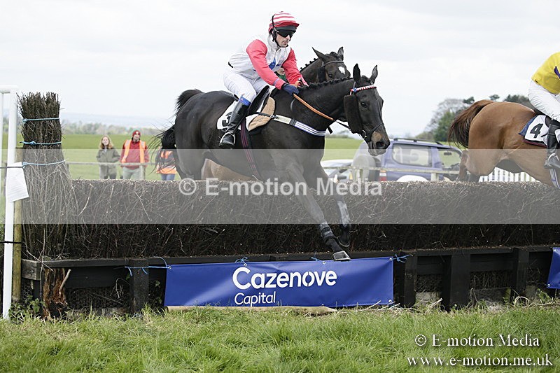 PtP 170417 11 - Old Berks Point-to-Point Lockinge 17/04/17