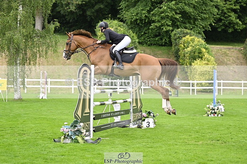 250613A-133234-02248 - Cls 3 Snr Foxhunter