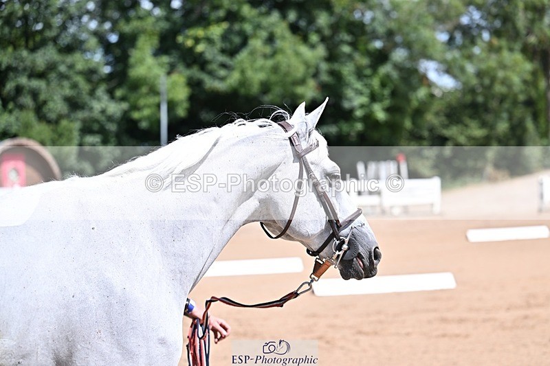 250716-123340-00049 - Trot Up 12.30 to 1.30