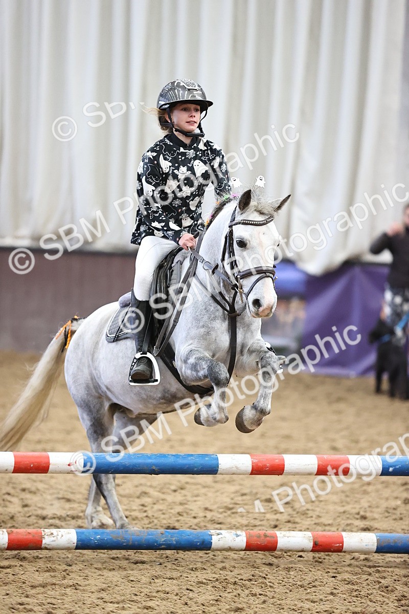SBM_001546 - Class 3 - Horse & Hound 60cm