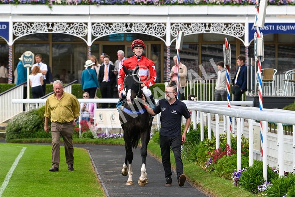 310525-Race 5-Frankies Dream-9894 - Race 5 3.50pm Reg Bond Always And Forever Handicap