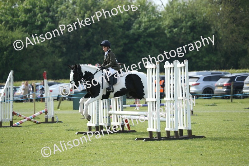 20260426-1523 - Class 14 - Novice 60cm