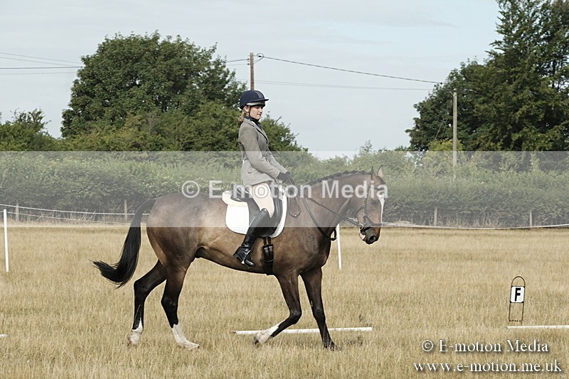 _PJP5668 - Dressage Classes BVRC Show 2018