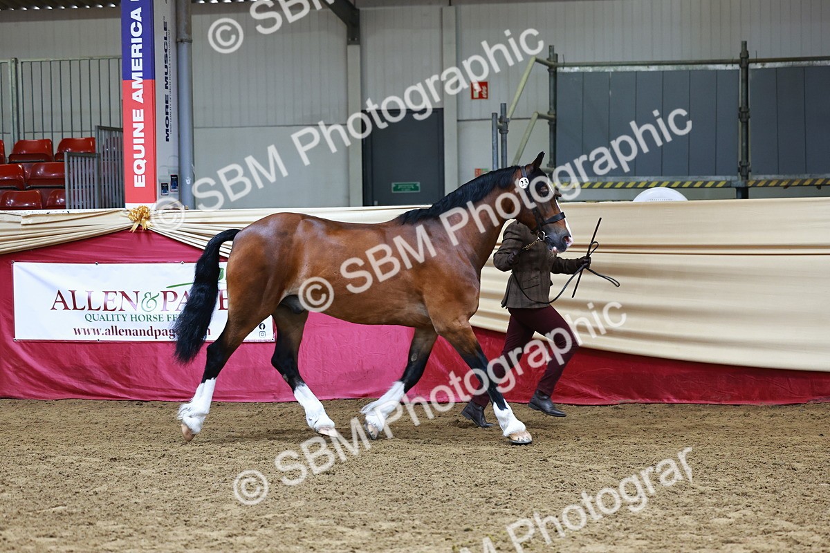 SBM_22137 - Class 902 - Supreme Final - IH Diamond