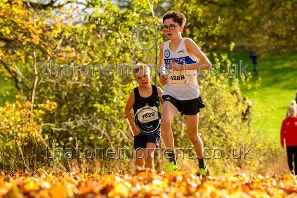 NatRel25-914617 - Young Male Set Two