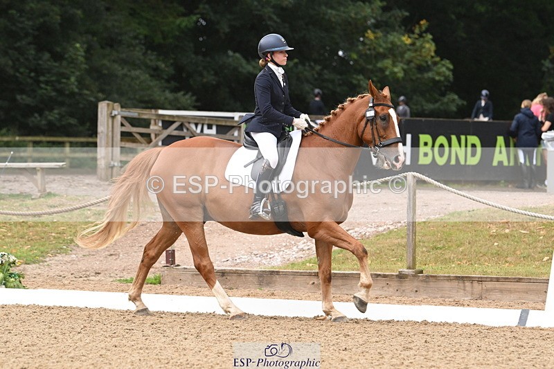 250720A-103441-09596 - 104-Molly.Northmore-Pennmoor.Liberation