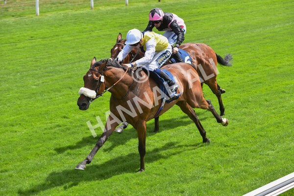 yr08072022r1 -26 - Race 1 2.05pm William Hill Best Odds Guaranteed Handicap Stakes