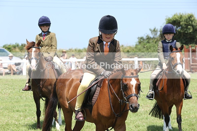 JPP_2367 - Class 20: Tiny Tots Working Hunter Pony