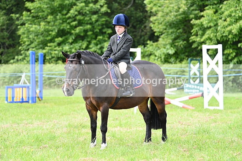 WJ7_0974 - Class 8 First Rally Pony